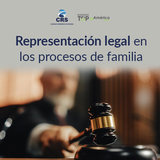 Representación legal en los procesos de familia